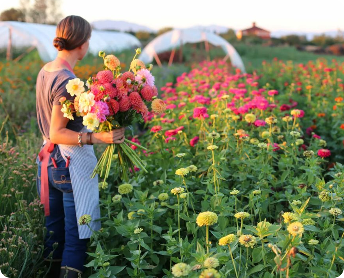 Flower Brokerage